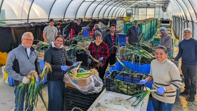 Eight FHLBank Boston employees standing sorting through leeks that are set before them