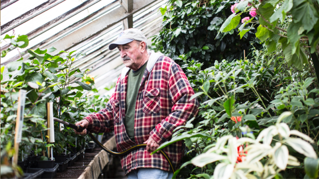 man wearing plaid shirt and hat watering plants in greenhouse